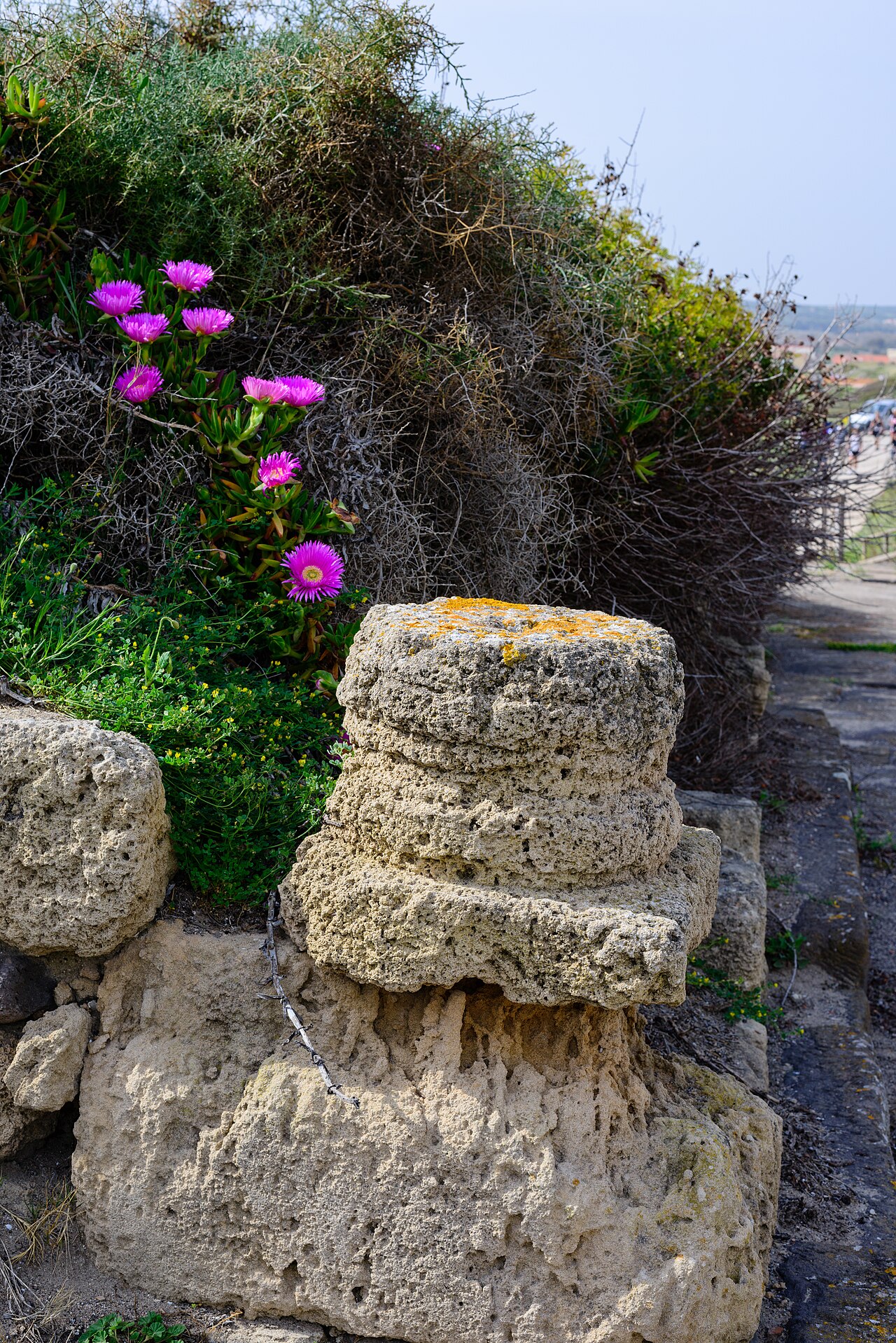Torre di Bari