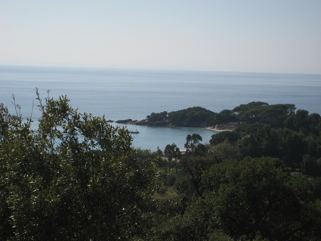 Bonifacio