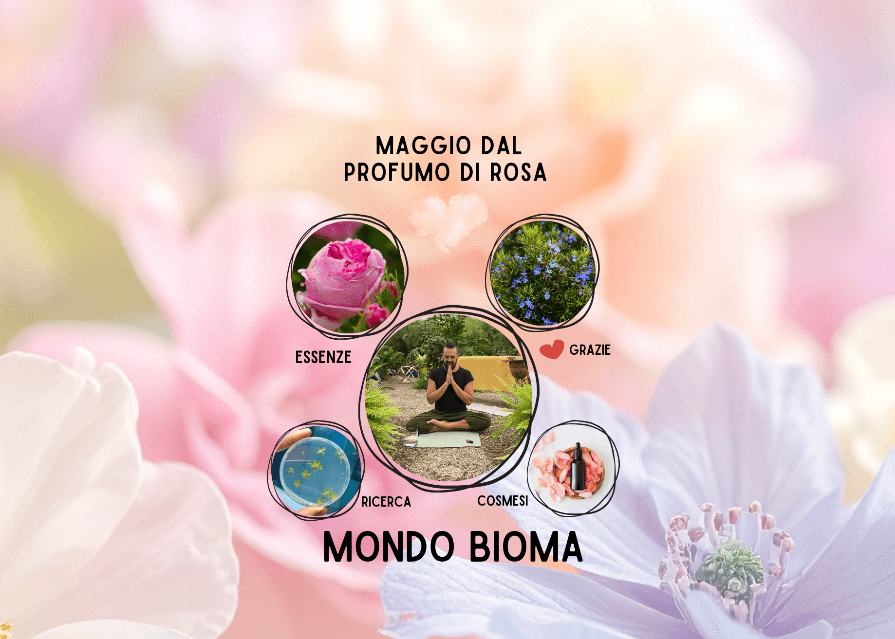 Bioma Natura E-commerce